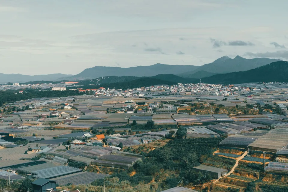 Phòng đôi view vườn, yên tĩnh